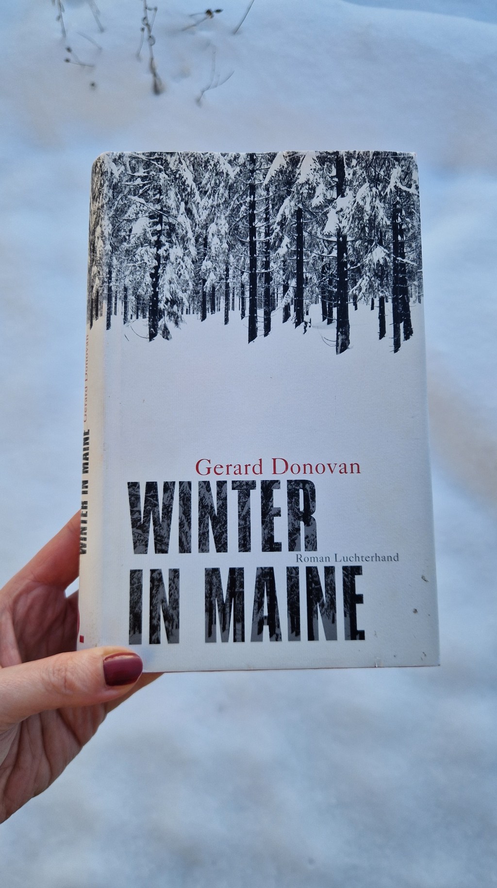 Gerard Donovan: Winter in Maine&nbsp;[Rezension]